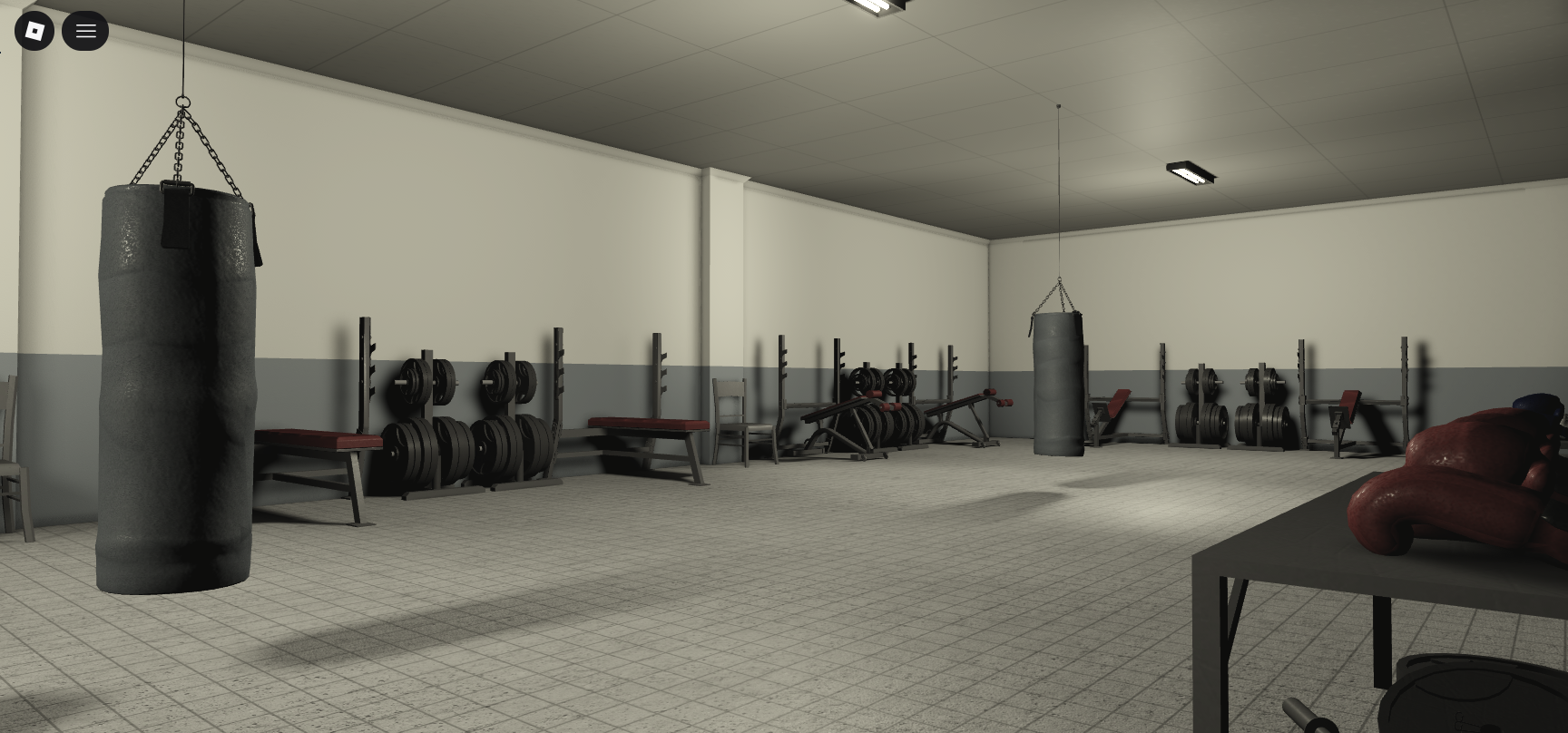 Training and Boxing Arena #4