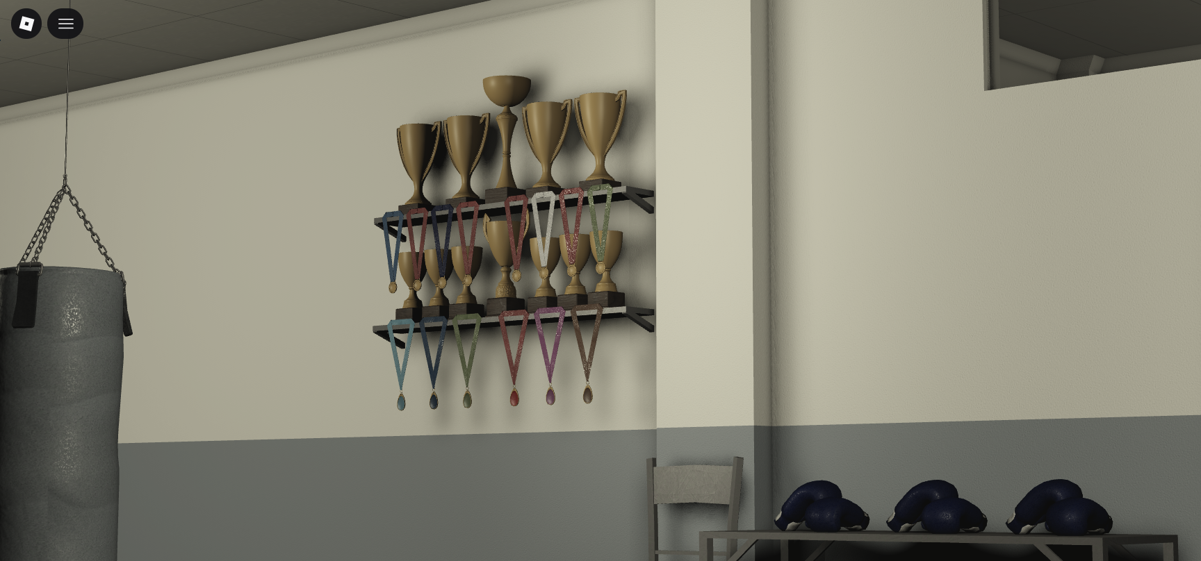 Training and Boxing Arena #5
