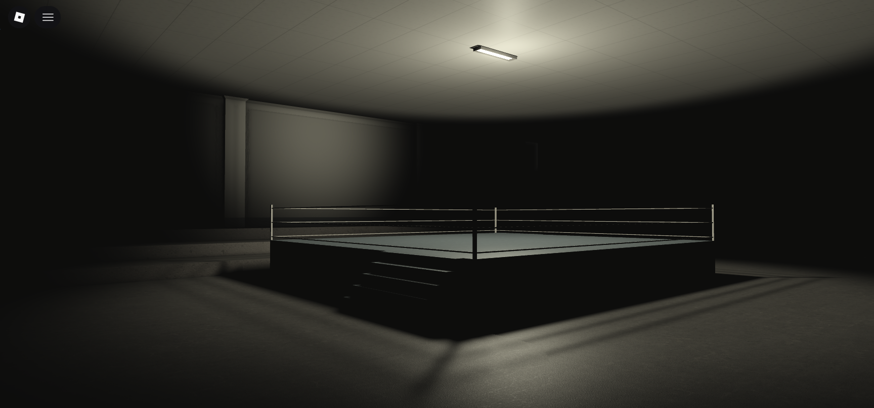 Training and Boxing Arena #2