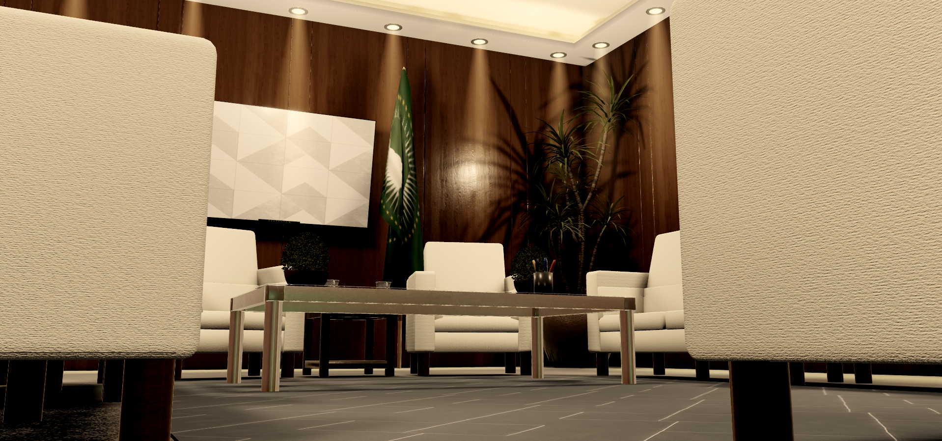 African Union Assembly Convention #8